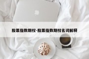 股票指数期权-股票指数期权名词解释