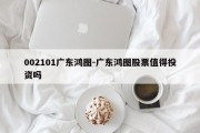 002101广东鸿图-广东鸿图股票值得投资吗