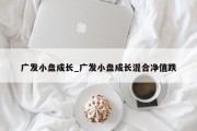 广发小盘成长_广发小盘成长混合净值跌