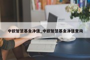 中欧智慧基金净值_中欧智慧基金净值查询