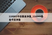 110003今日基金净值_110009基金今日净值