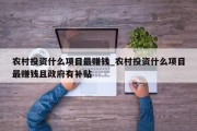 农村投资什么项目最赚钱_农村投资什么项目最赚钱且政府有补贴