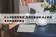 什么叫股票型基金_股票型基金将 以上的资金投向股票的基金