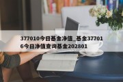 377010今日基金净值_基金377016今日净值查询基金202801