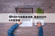 000800今日基金净值_基金000988今日净值