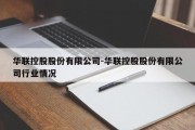 华联控股股份有限公司-华联控股股份有限公司行业情况