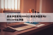 基金净值查询260022-基金净值查询260110今日净值