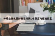 养殖业什么最好养见效快_小型室内养殖致富