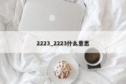 2223_2223什么意思