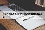 产业并购基金净值_产业并购基金净值计算公式