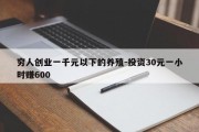 穷人创业一千元以下的养殖-投资30元一小时赚600