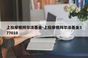 上投摩根阿尔法基金-上投摩根阿尔法基金377010