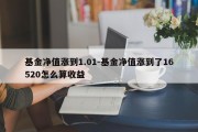 基金净值涨到1.01-基金净值涨到了16520怎么算收益