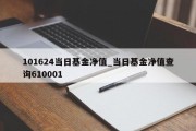 101624当日基金净值_当日基金净值查询610001