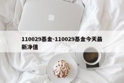 110029基金-110029基金今天最新净值