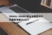 580001-580001基金净值查询今天最新净值161217