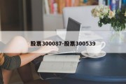 股票300087-股票300539