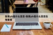 股票pb是什么意思-股票pb是什么意思在哪里看