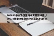 160630基金净值查询今天最新净值_160630基金净值查询今天最新净值60630