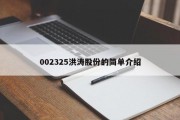 002325洪涛股份的简单介绍