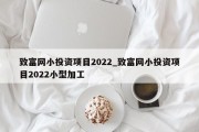 致富网小投资项目2022_致富网小投资项目2022小型加工