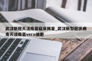 武汉新冠灭活疫苗临床揭盲_武汉新型冠状病毒灭活疫苗vero细胞