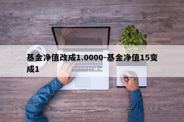 基金净值改成1.0000-基金净值15变成1  第1张